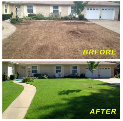 Biodegradable Grass Seed Mat