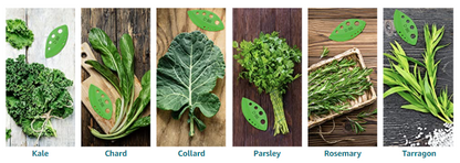 Best and Safe Herb Leaf Stripper Tool